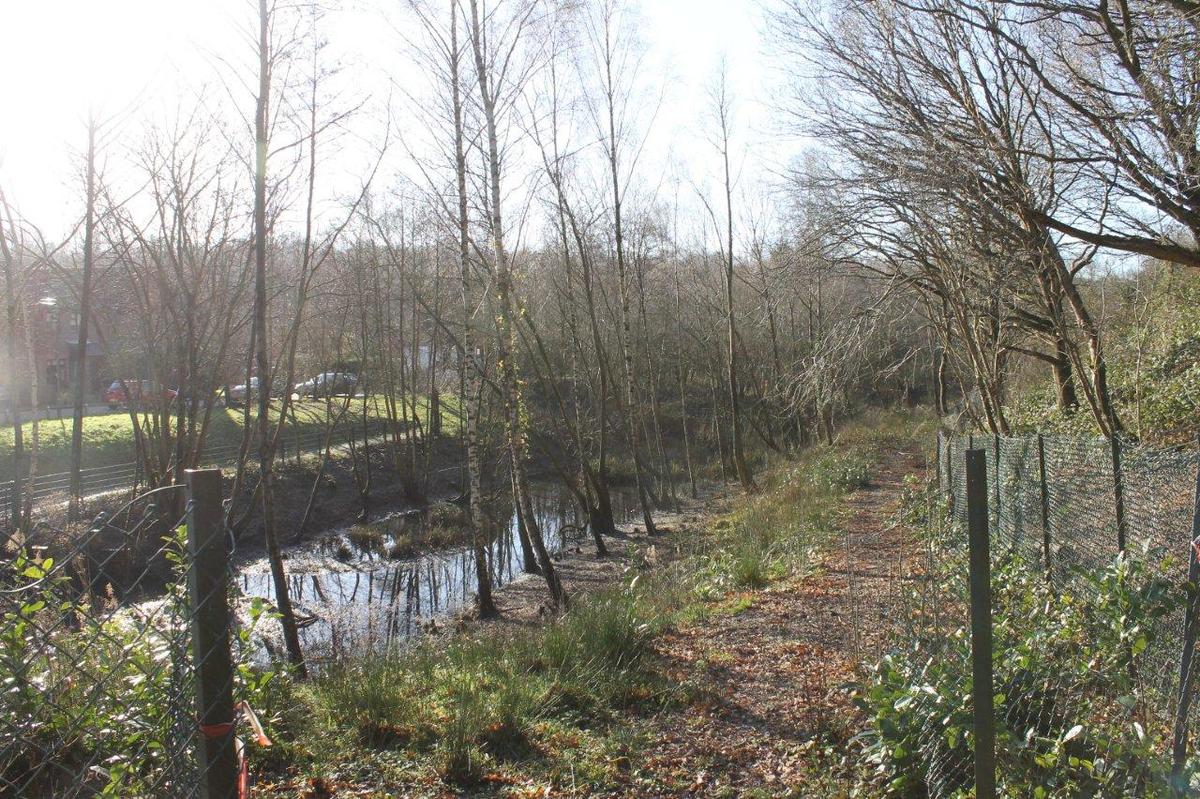 another view of the pond